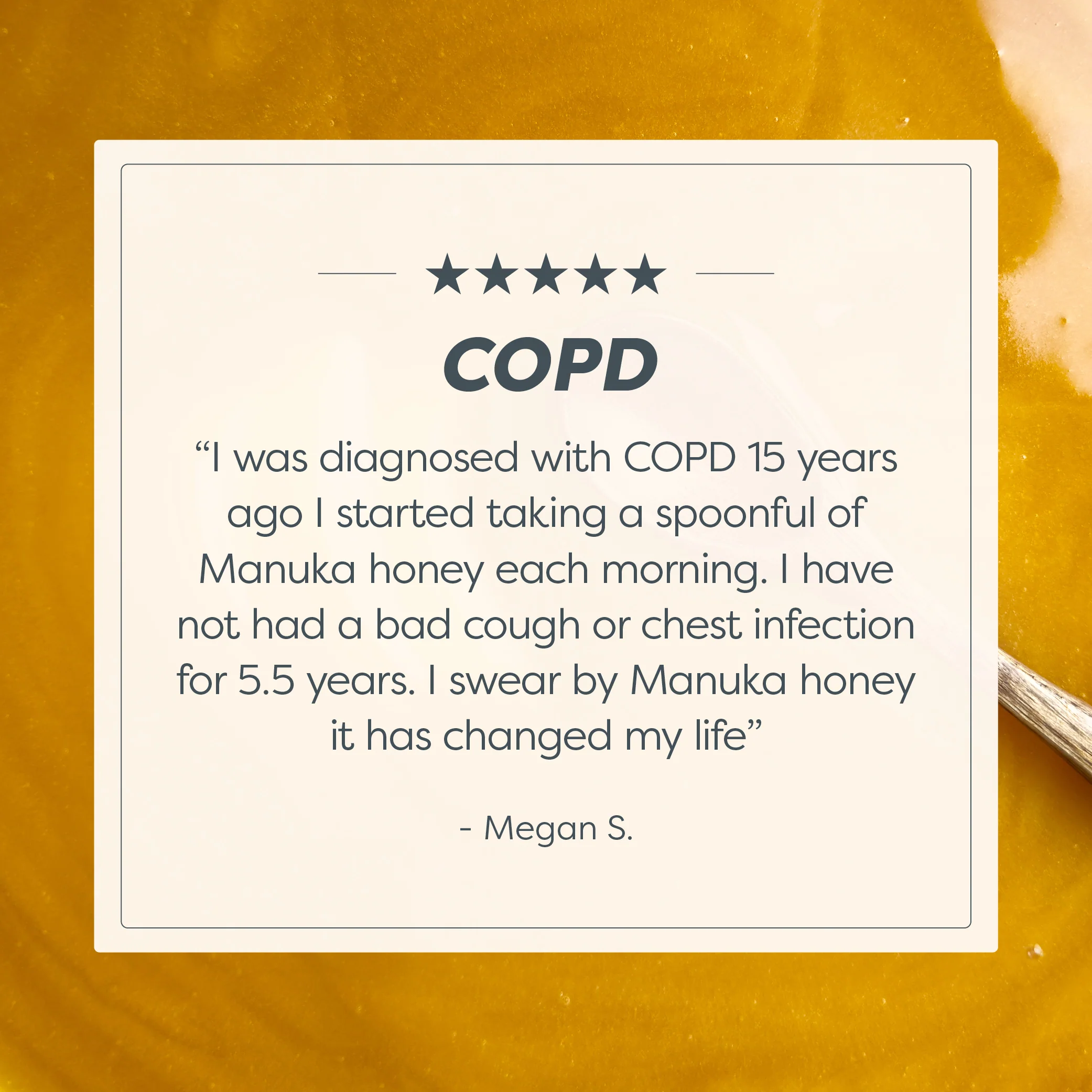 240 MGO Manuka Honey 500g - Monofloral - Image 11