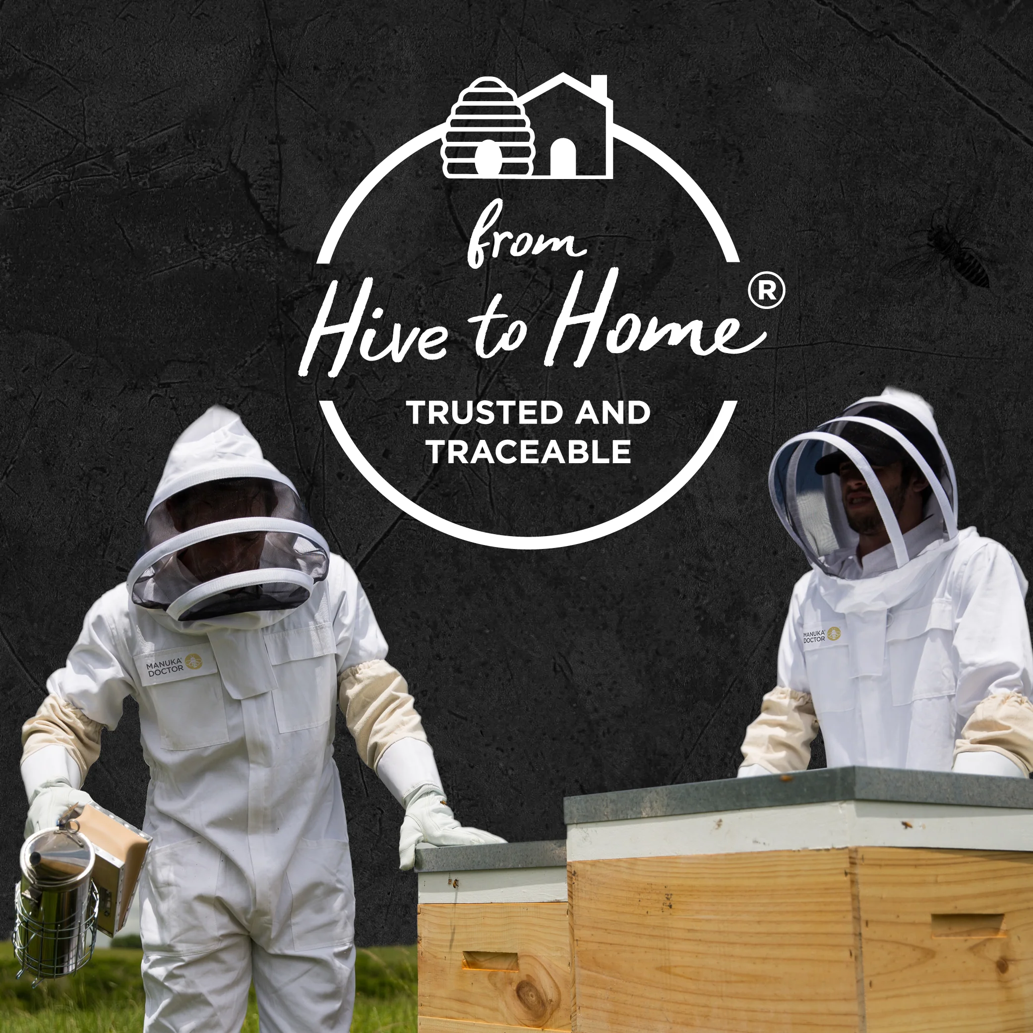 740 MGO Manuka Honey 250g - Monofloral - Image 12