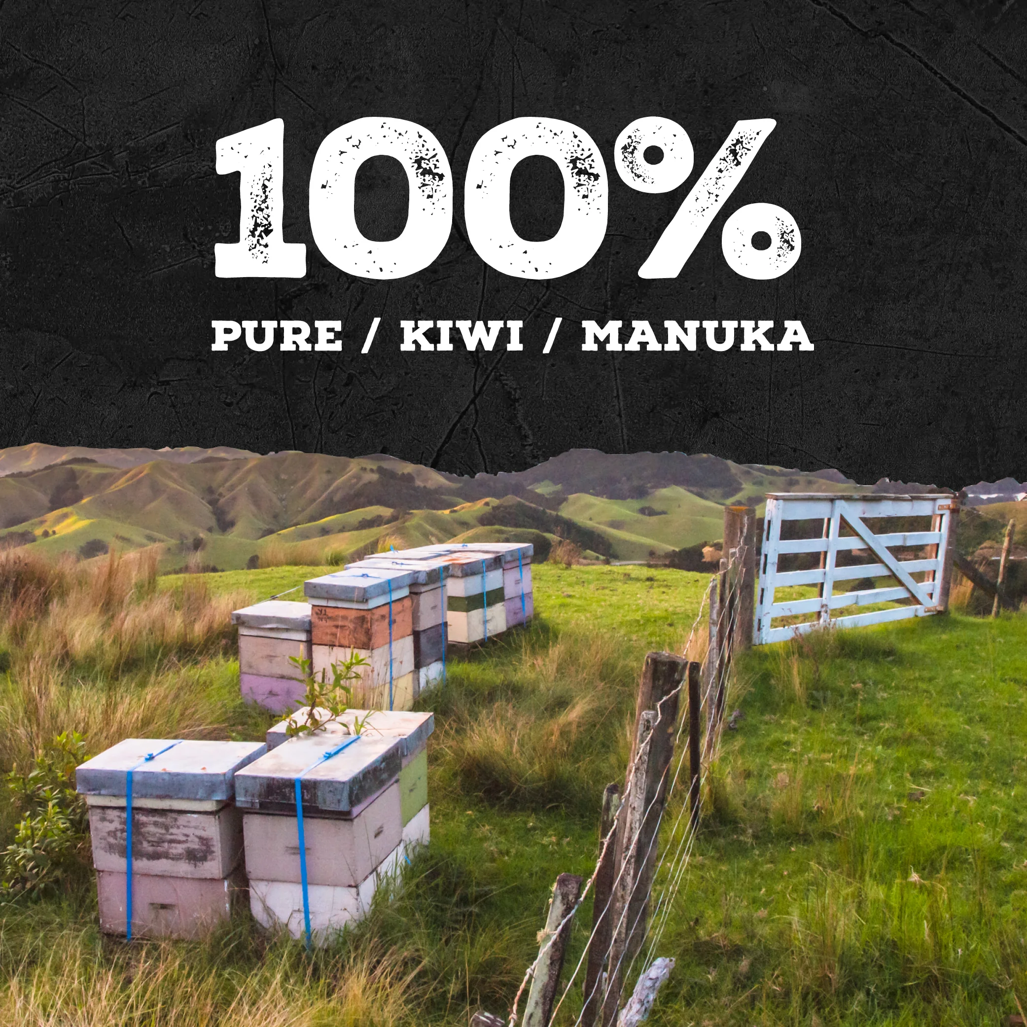740 MGO Manuka Honey 250g - Monofloral - Image 10