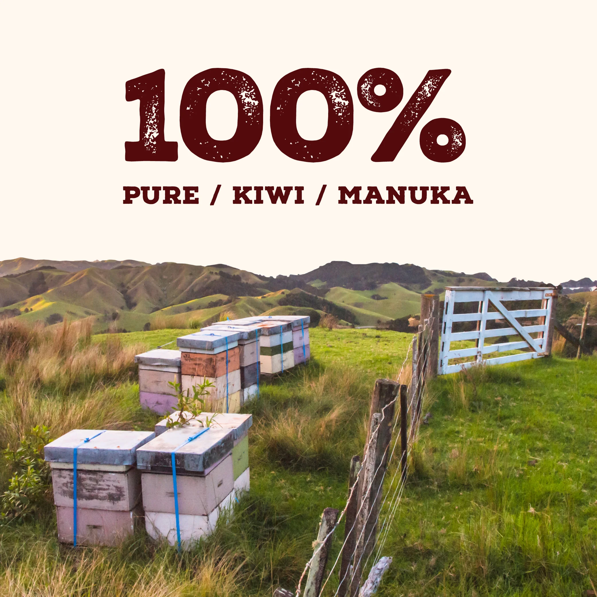 100 MGO Manuka Honey 500g - Monofloral - Image 9
